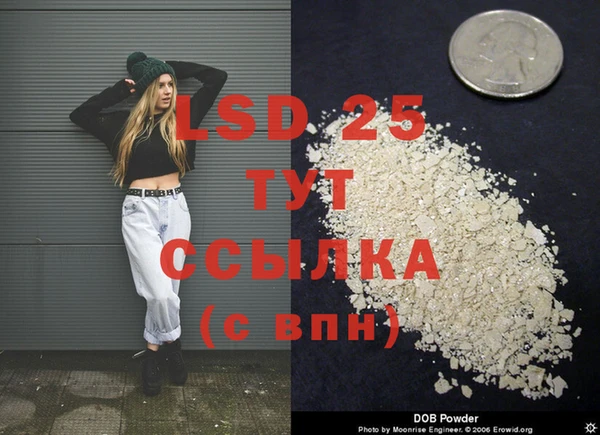 стаф Баксан