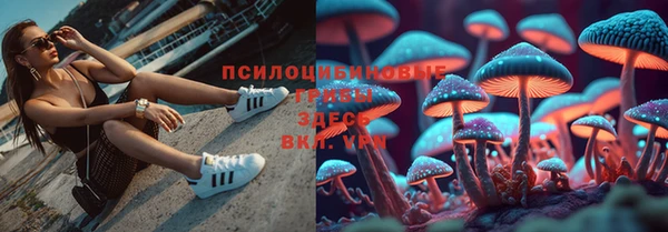 стаф Баксан