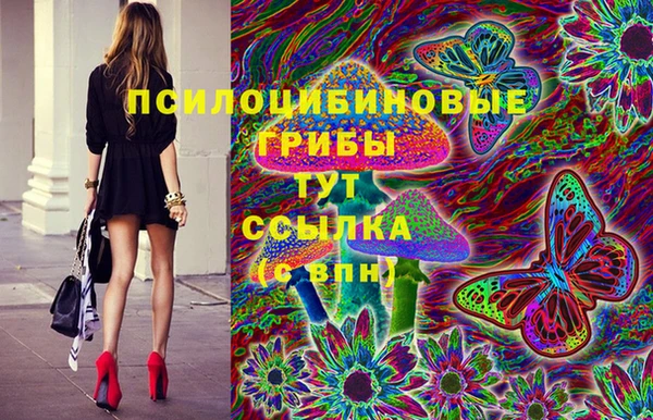 стаф Баксан