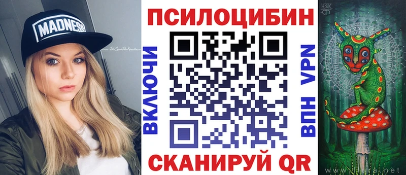 Купить  Губаха  Псилоцибиновые грибы мицелий 