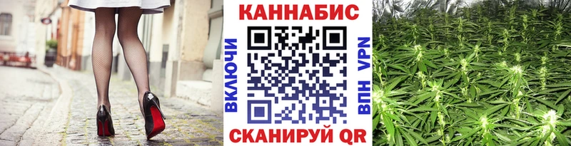 Купить  Губаха  Шишки марихуана OG Kush 